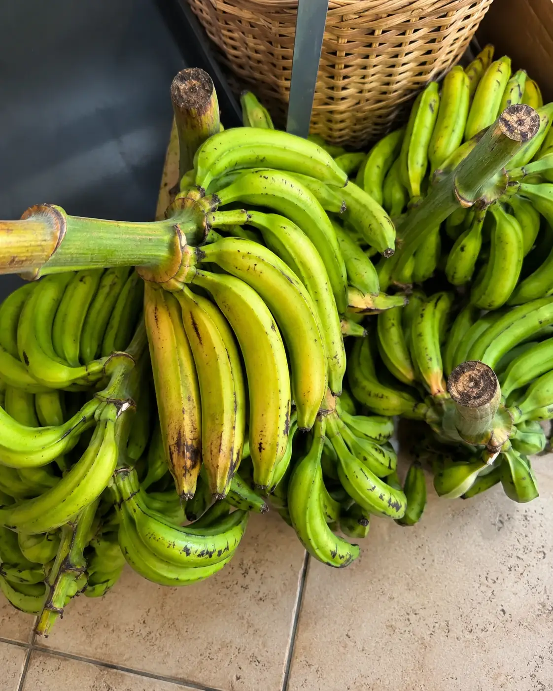 Plantain Bunches